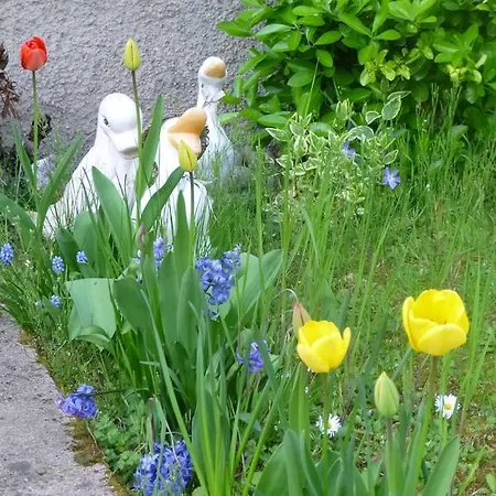 Ferienwohnung Jardin Fleuri Lingolsheim Exterior foto