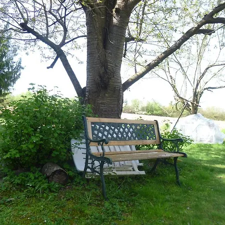 Ferienwohnung Jardin Fleuri Lingolsheim Exterior foto