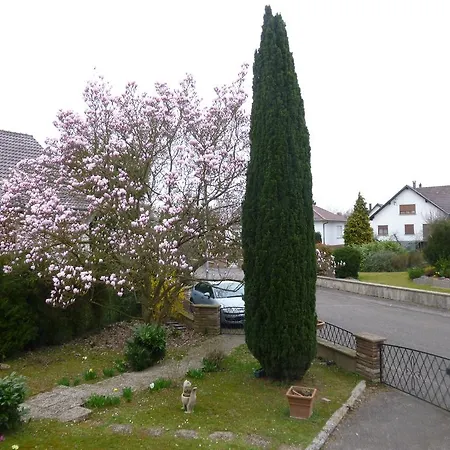 Ferienwohnung Jardin Fleuri Lingolsheim Exterior foto