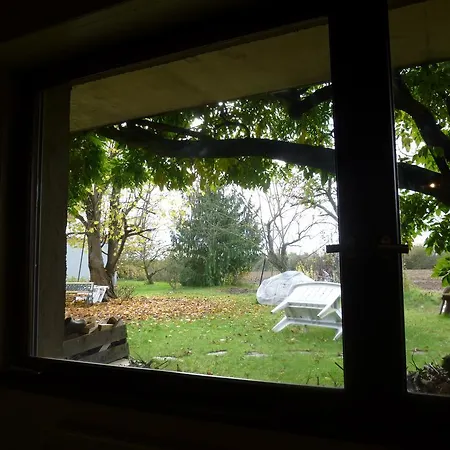 Ferienwohnung Jardin Fleuri Lingolsheim Exterior foto