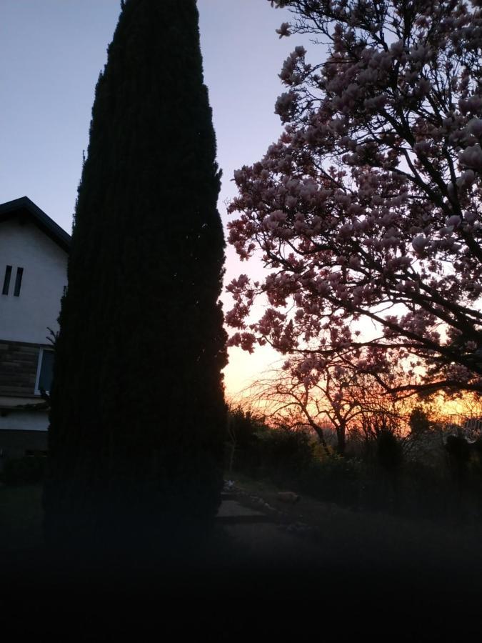 Jardin Fleuri * Lingolsheim