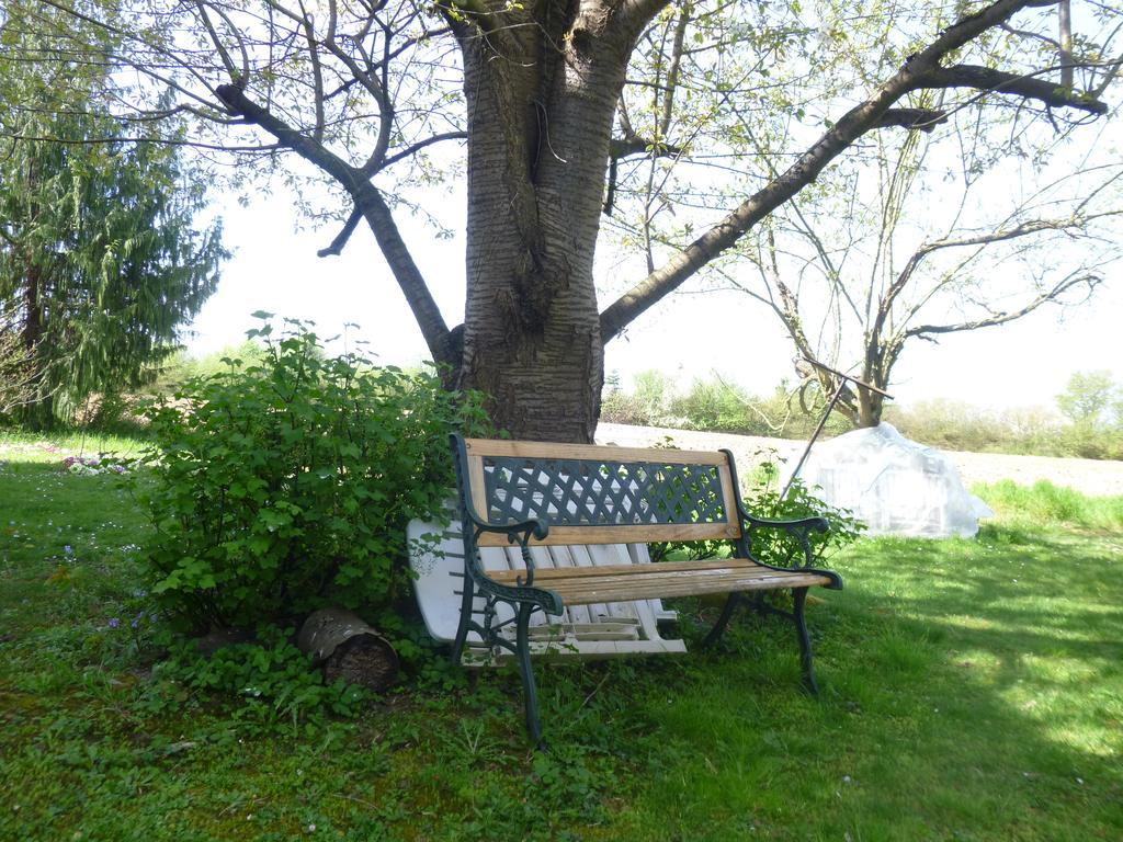 Appartement Jardin Fleuri
