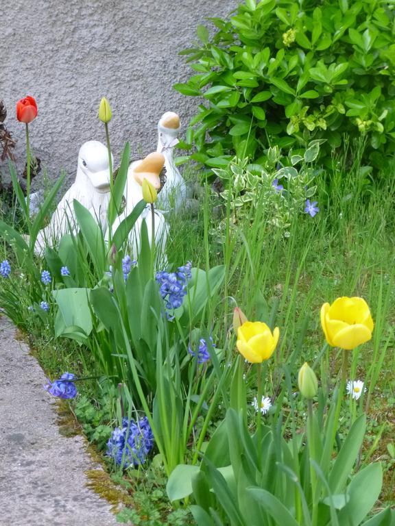 Jardin Fleuri * Lingolsheim