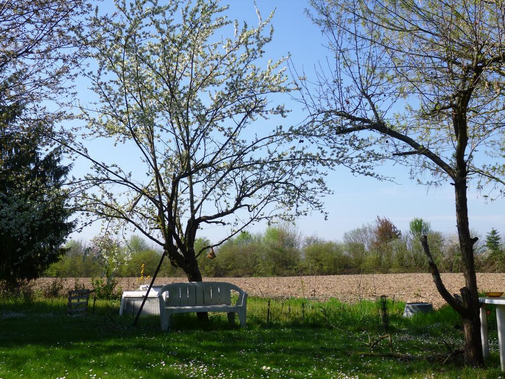 Jardin Fleuri Apartment *
