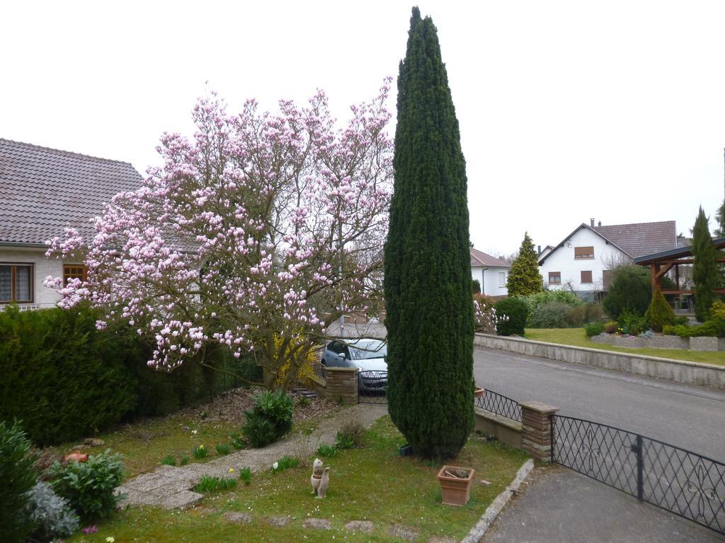 Jardin Fleuri Apartment Lingolsheim