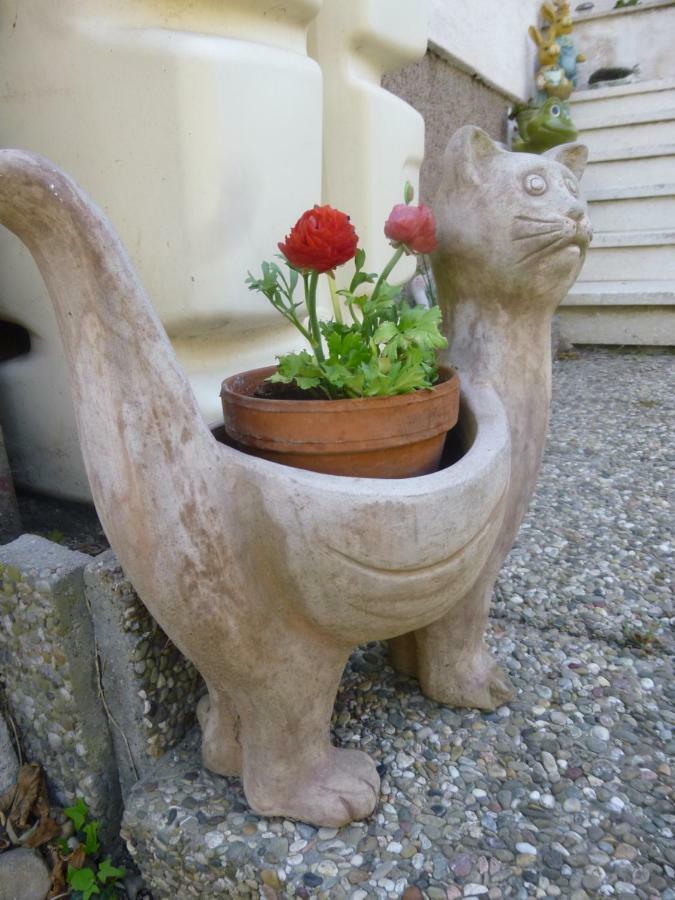 Jardin Fleuri *